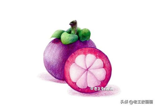 彩鉛入門小教程,教你畫山竹,零基礎也可以學會